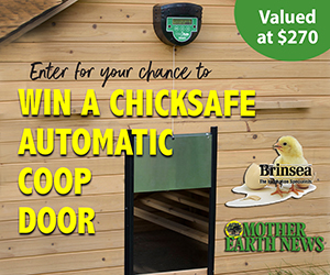 Brinsea ChickSafe Coop Doors Giveaway